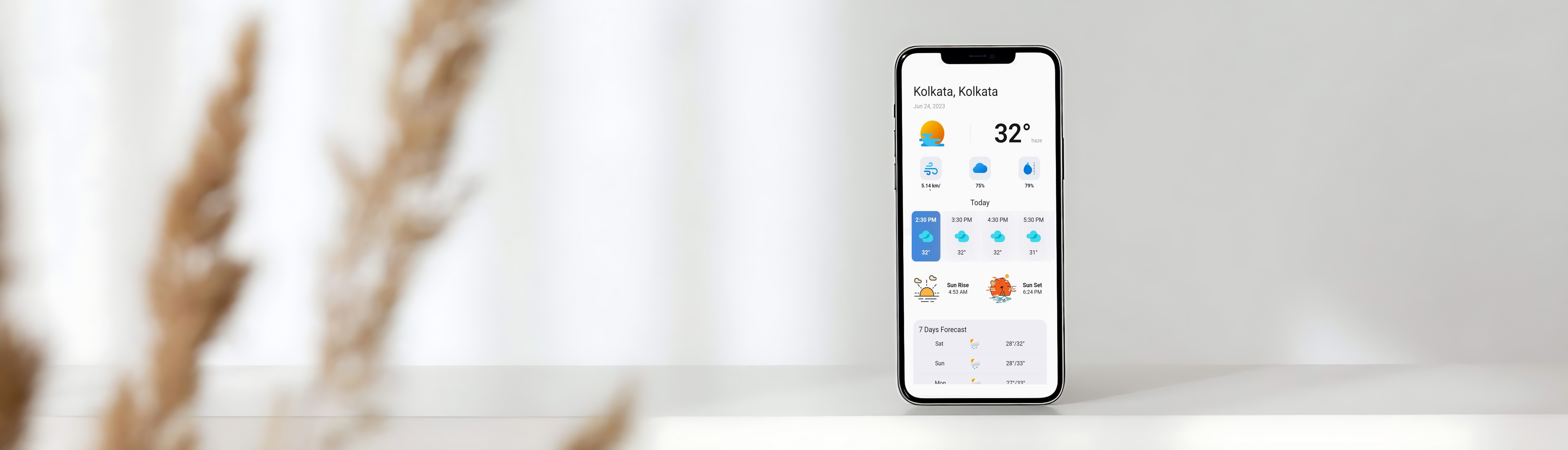 Project Details