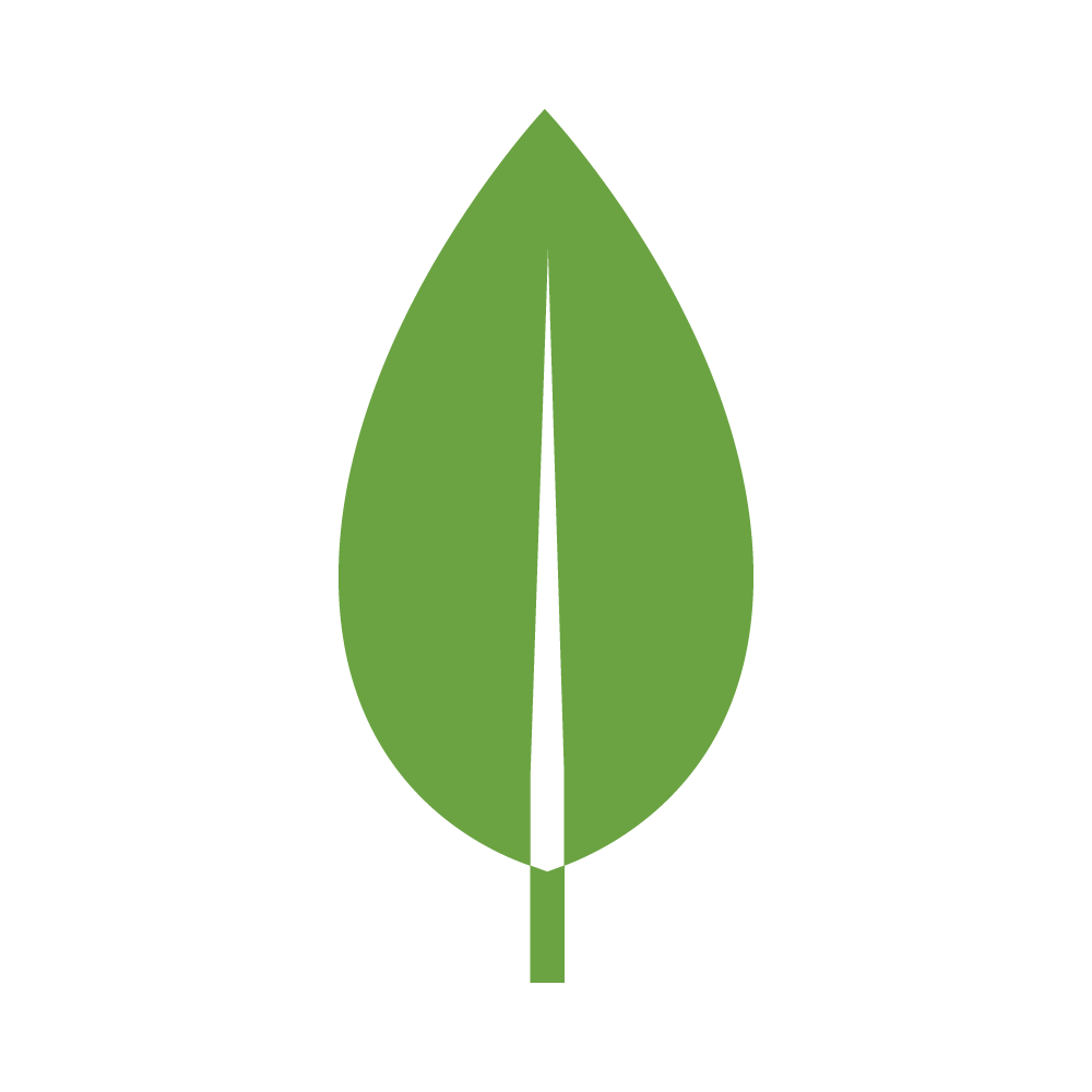 MongoDB Icon